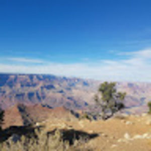 Meet your Posher, Heidi